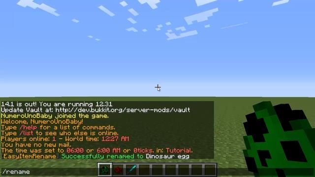 Minecraft | EASY ITEM RENAME (Change item names forever!) | Plugin Tutorial смотреть онлайн