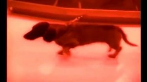 Рок острова   Я уйду, не вспомнив о тебе  Я уйду, жалеть не буду, что забыла обо мне