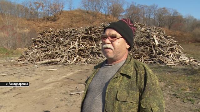Разруха Хасанщины и вырубленная тайга. Как живет туристическая Мекка Приморья│26.10.2019 смотреть онлайн