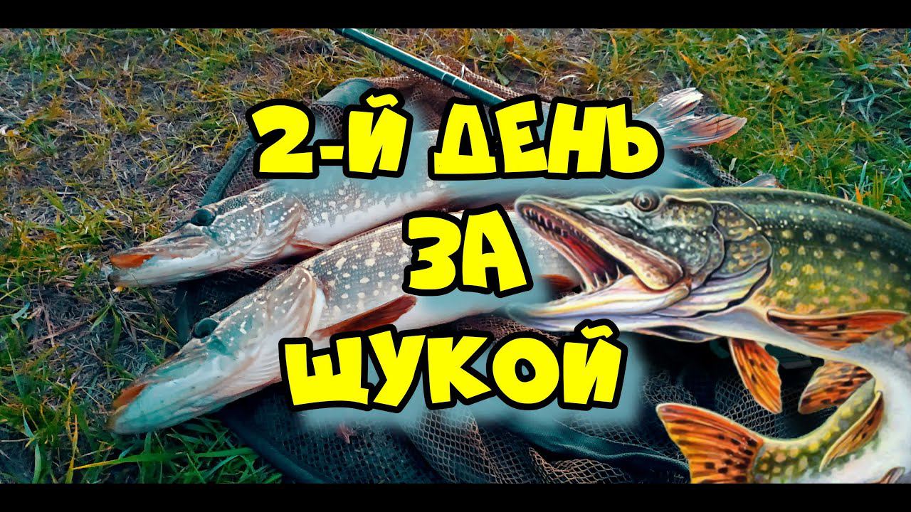 2-й день, где искать щуку. смотреть онлайн