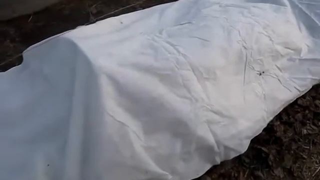 Укрытие винограда на зиму смотреть онлайн