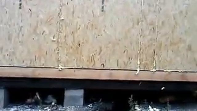 Сип панельные стены смотреть онлайн