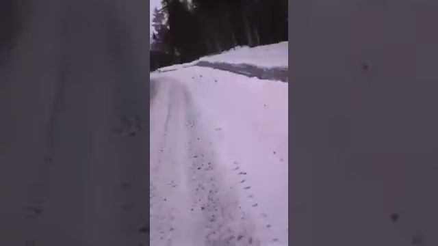 Яндекс навигатор сказал через лес идти 10 минут смотреть онлайн