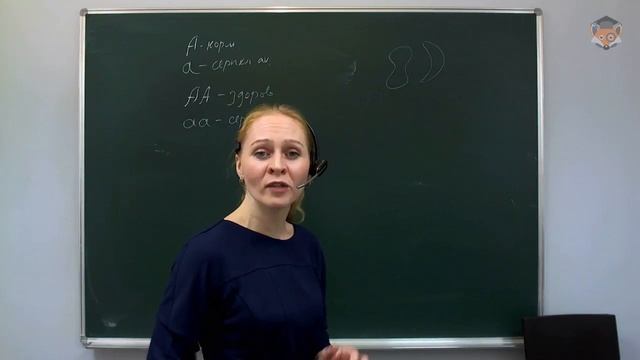 Занятие 10 Основы генетики смотреть онлайн
