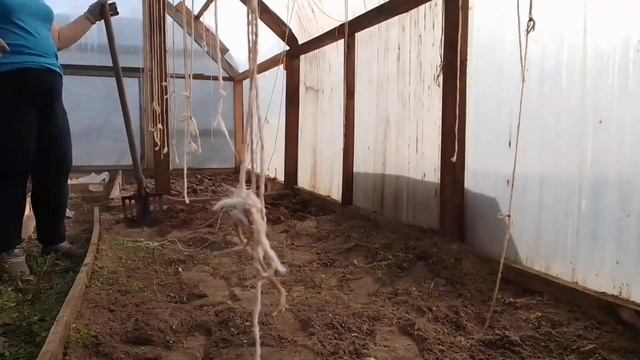 ДНЕВНИК ПОХУДЕНИЯ ✅ ПОДГОТОВКА К СЕЗОНУ ? ТРЕНИРОВКА НА ВСЕ ГРУППЫ МЫШЦ ? ХУДЕЮ С БОЛЬШОГО ВЕСА? смотреть онлайн