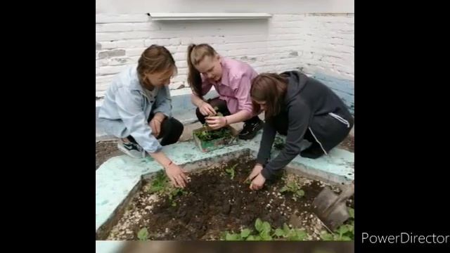 Акция "Школьный двор")) смотреть онлайн