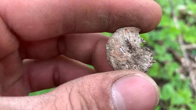 ТАКИХ МОНЕТ Я ЕЩЁ НЕ ВЫКАПЫВАЛ!!! Восточная Пруссия. X-Terra 705, XP Deus. смотреть онлайн