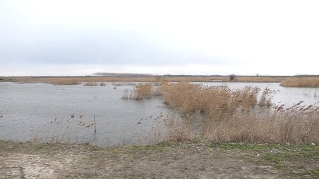 Jamura Banatsko Karadjordjevo HC-VX1 смотреть онлайн