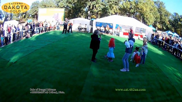 Национальная выставка собак КСУ, Природа, 30092018, Арт пикник, Фельдман Экопарк, 16 костюмы смотреть онлайн