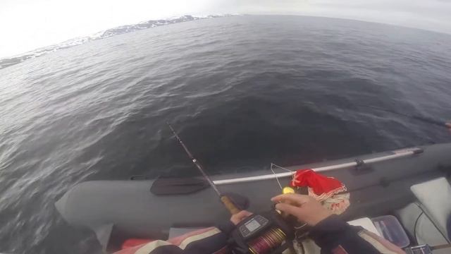 Работа Электрокатушка Daiwa Tanacom 1000 смотреть онлайн