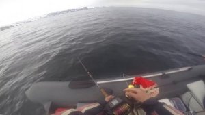 Работа Электрокатушка Daiwa Tanacom 1000