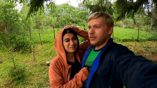 #24/2023/ Дачный забор своими руками / Рабица и бетонные столбы / МыЖеНаТы смотреть онлайн