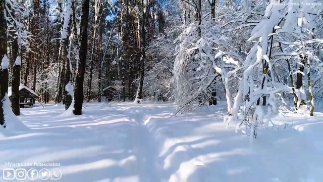 Расслабляющая музыка снимает стресс, рассеивает тревогу - Лечит разум и душу?Музыка Сергея Чекалина смотреть онлайн