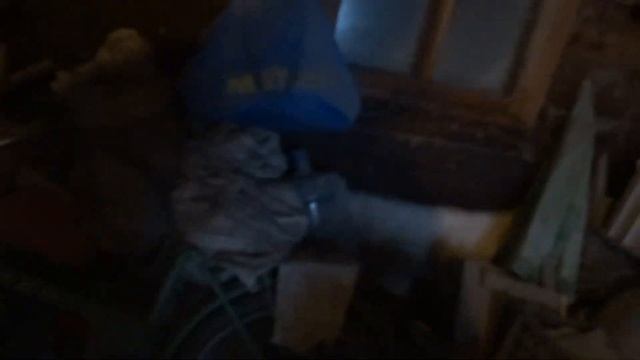 в   голубятне