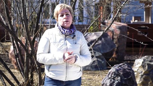 СМОРОДИНА ВЕСНОЙ?УХОД И ОБРАБОТКА ОТ ВРЕДИТЕЛЕЙ?