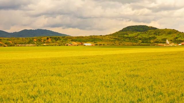 Yспокаивает нервную систему и радует душу - лечебная музыка для сердца и сосудов, Музыка для лечени смотреть онлайн