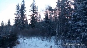 Экстримальная ловля птиц в -27мороза. 11-14.11.18.