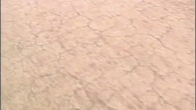 The Freddie Flintoff Story (Freddie's Fireworks) смотреть онлайн