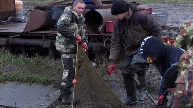 Рыбалка на прудах в п. Михайловский смотреть онлайн