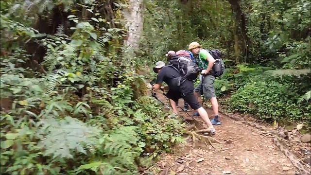 ВОСХОЖДЕНИЕ НА КИЛИМАНДЖАРО/ТАНЗАНИЯ/АФРИКА . Первый день трека, и ужин колониста. смотреть онлайн