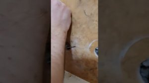 Как выкрутить обломившийся в трубе эксцентрик для крана