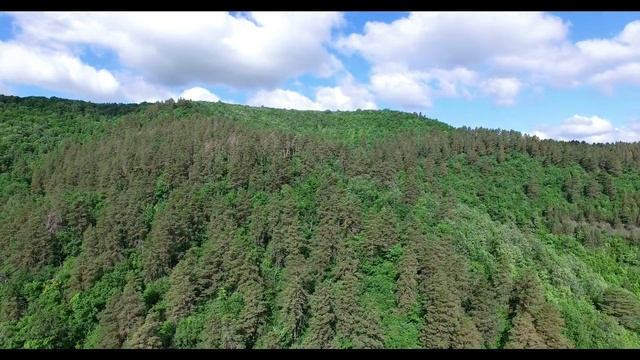 Село Ширяево (Самарская Лука) смотреть онлайн