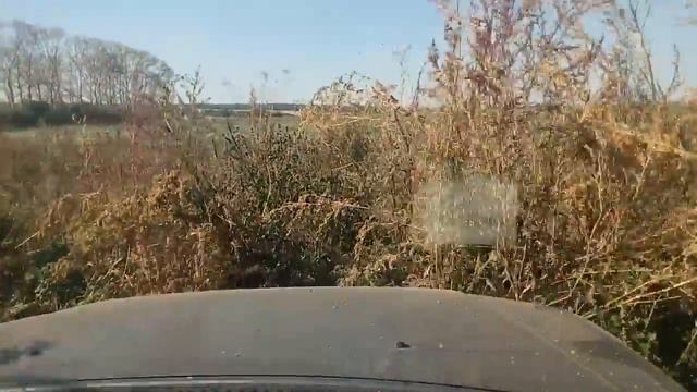 Начинаем путь домой смотреть онлайн