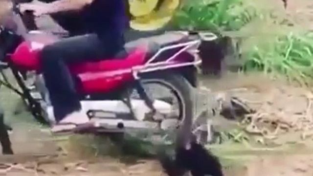 Когда жена не отпускает в гараж к мужикам?? смотреть онлайн
