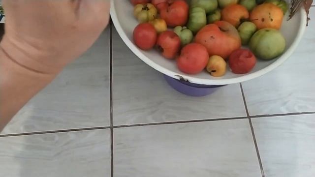 Опять одна готовка!!! И немного котиков)))