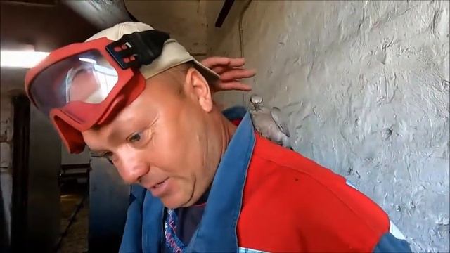 Торум Первый полёт смотреть онлайн