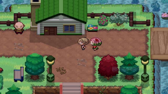 Pokemon Existence - фанатская игра с графикой покемонов пятого поколения и хорошим геймплеем.
