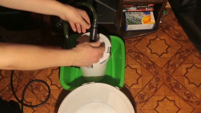 Ошибки начинающих аквариумистов. смотреть онлайн