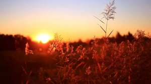 Ангел белый или черный