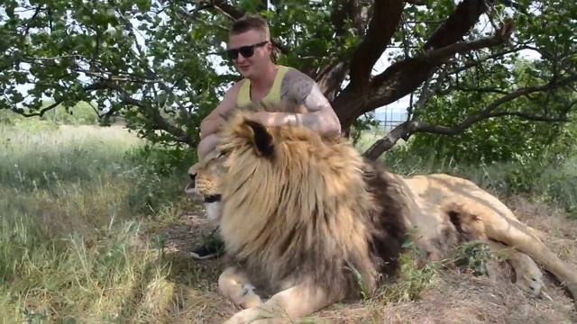 МАША , ТЫ ВИДИШЬ ТОЖЕ ЧТО И Я Masha, do we both see the same смотреть онлайн