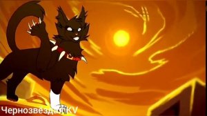 Коты воители. Клип Бич по заказу канала Бич Кот Воитель-Детство