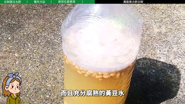 自製神奇的澆花水，讓盆栽冒新芽蹿新根，省下大筆買肥錢！|花花世界 смотреть онлайн