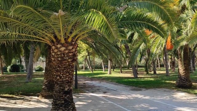 VALENCIA 2021/ Какой мы увидели Валенсию в этом году/ ВАЛЕНСИЯ 2021/ Cómo Vimos Valencia Este Año