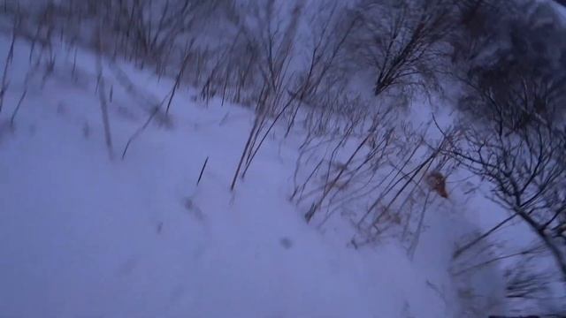 Засидка из снега. Охота на лису 2024 01 17 смотреть онлайн