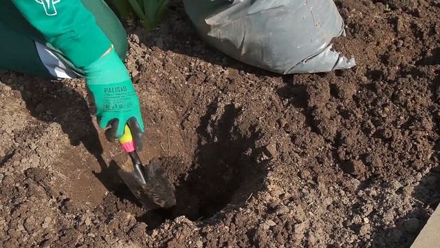 Инструкция для интернет-магазина БЕККЕР "Как посадить розы" смотреть онлайн