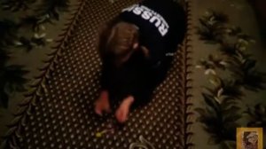 Скрепыши, Реклама из магнита.