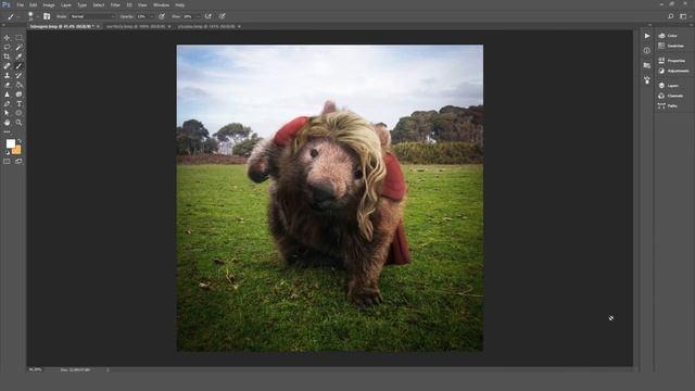 Wombat Thor! - Funny Photoshops #32 смотреть онлайн