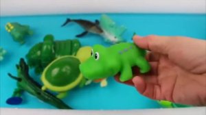 Узнайте цвета с дикими животными в синем бассейне воды акулы ванна игрушки для детей