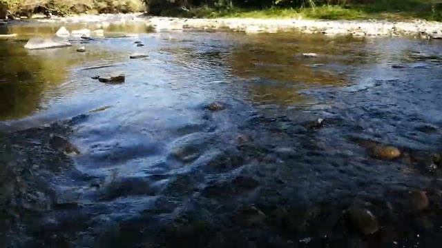 7.Mountain River The Sound Of Water Flow. Relax The Sound Of The River. Горная река, шум воды Релак