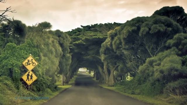 Медитация 8 из аудиокниги "Ключ к подсознанию" [NikОsho] смотреть онлайн