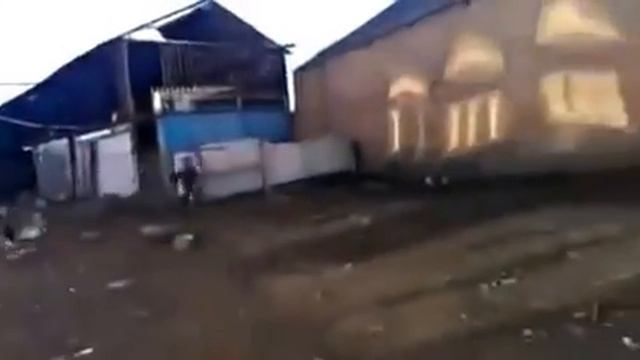 Злой Петух напал на ребенка Angry Rooster attacked child смотреть онлайн