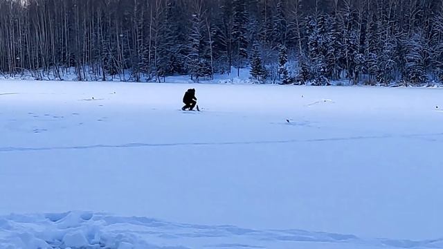 Рыбалка на реке Соложа !!! (Смоленская область) 2022 год смотреть онлайн