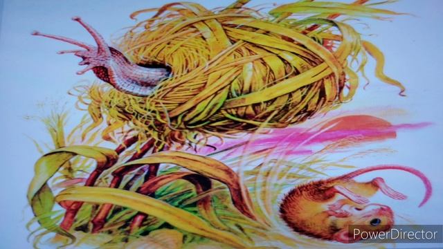 В. Бианки "Мышонок Пик" Незваный гость смотреть онлайн