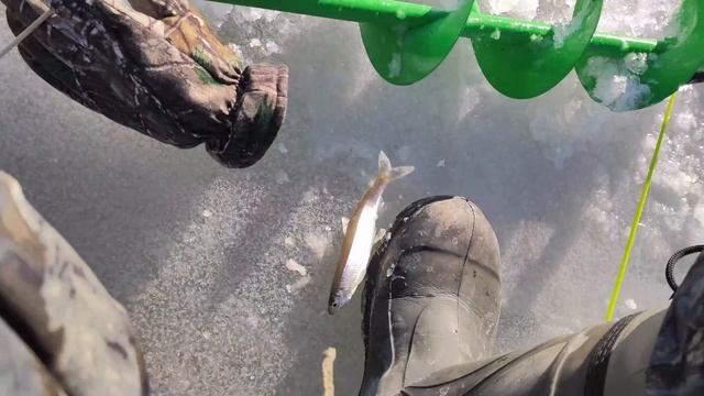 Зимняя рыбалка 2022-2023. Владивосток. Остров Русский. Майха смотреть онлайн