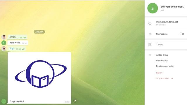 Chatbot készítése Java programozási nyelvben 1. - Végeredmény @SkillVersum смотреть онлайн