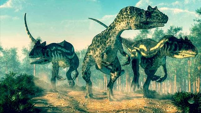 Allosaurus Fragilis Vs Yangchuanosaurus